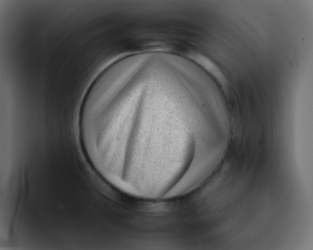 X0000092061431200710031052