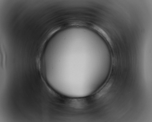 X0000092061433200710031052