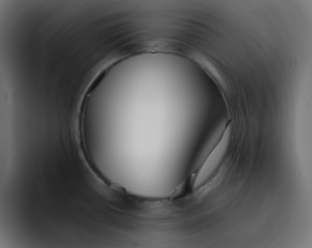 X0000092061434200710031052