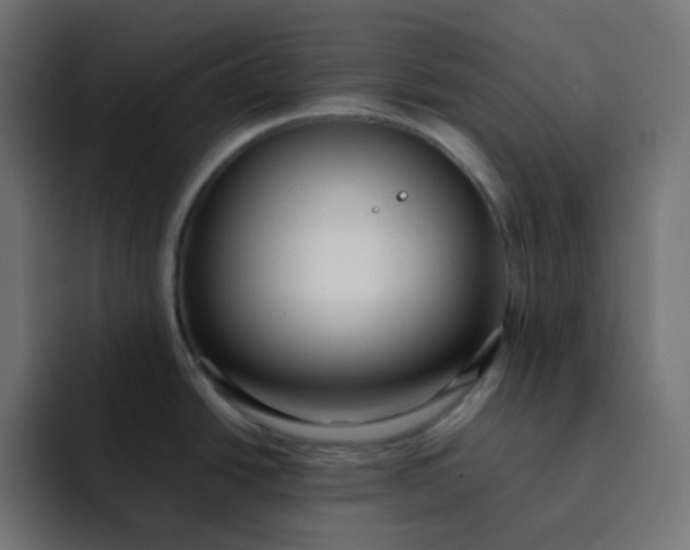 X0000092061438200710031052