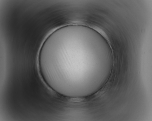 X0000092061440200710031052