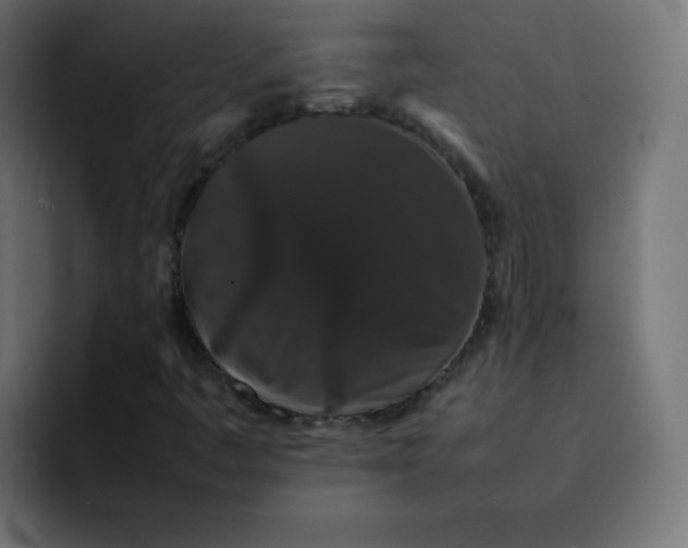 X0000092061445200710031052