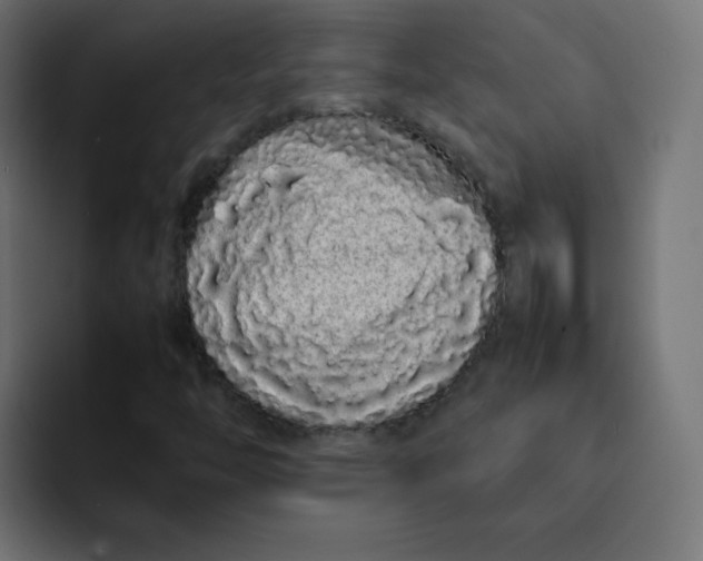 X0000092061446200710031052