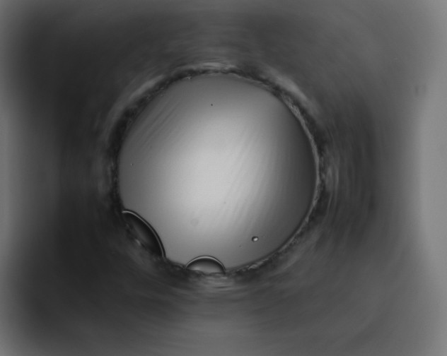 X0000092061448200710031052