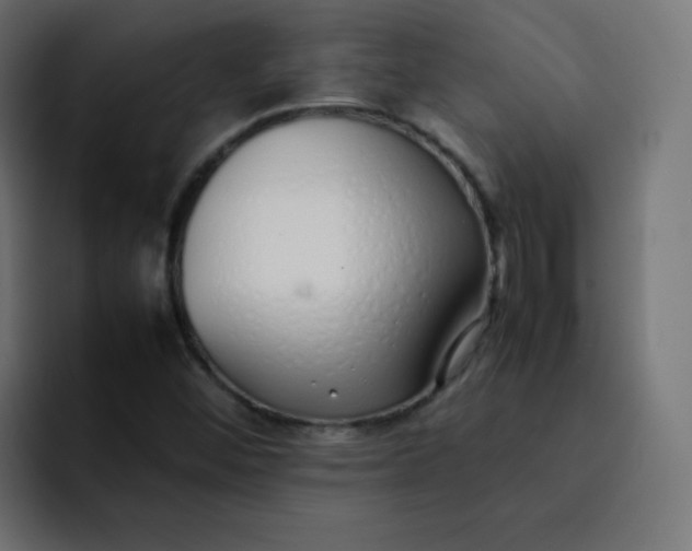 X0000092061452200710031052