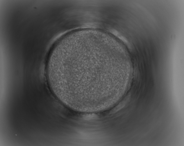 X0000092061454200710031052