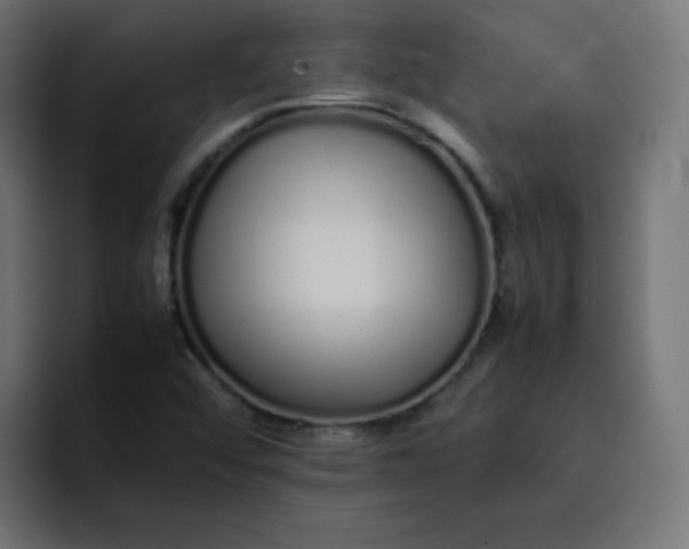 X0000092061456200710031052