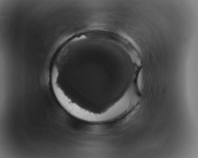 X0000092061461200710031052