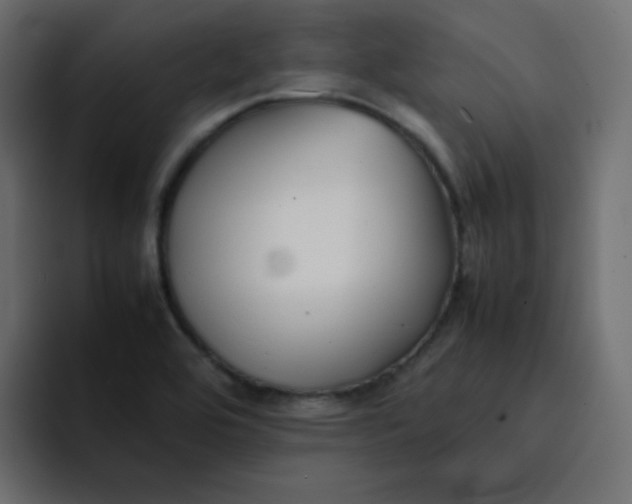 X0000092061464200710031052