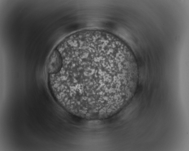 X0000092061467200710031052