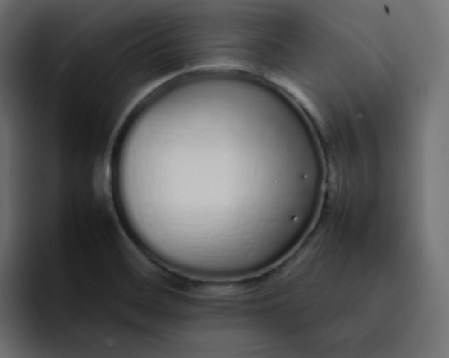 X0000092061468200710031051