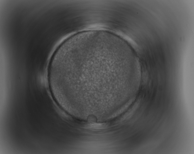 X0000092061470200710031051