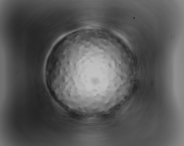 X0000092061471200710031051