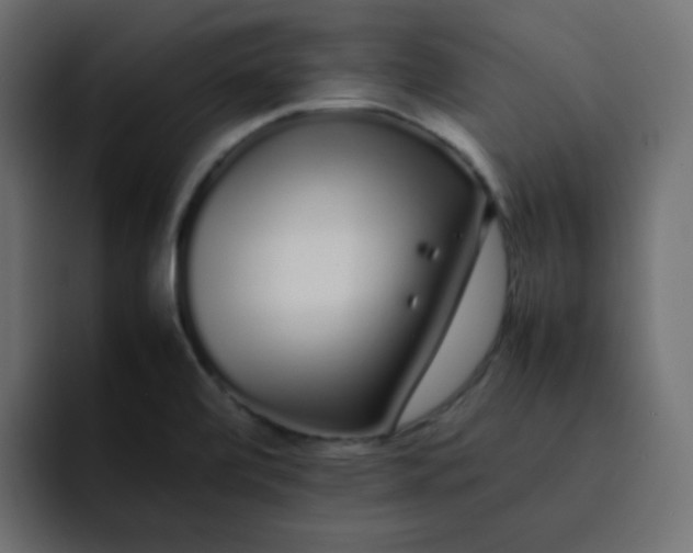 X0000092061472200710031051