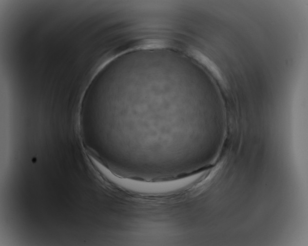 X0000092061473200710031051