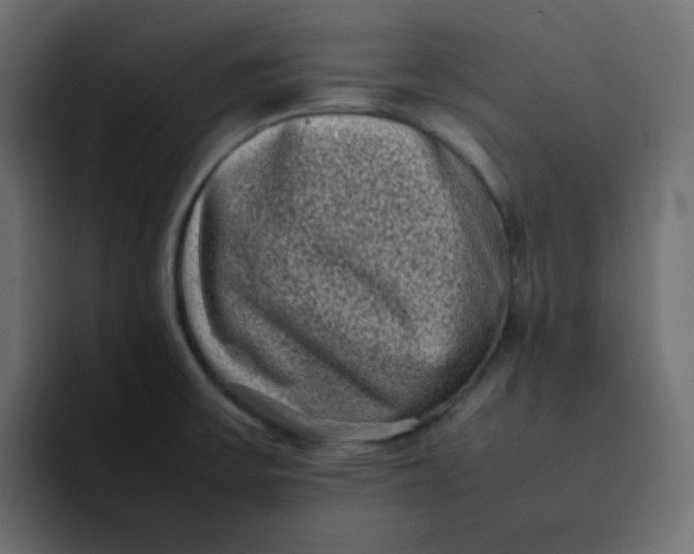 X0000092061475200710031051