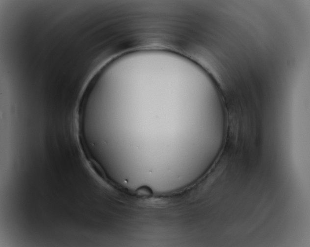 X0000092061476200710031051