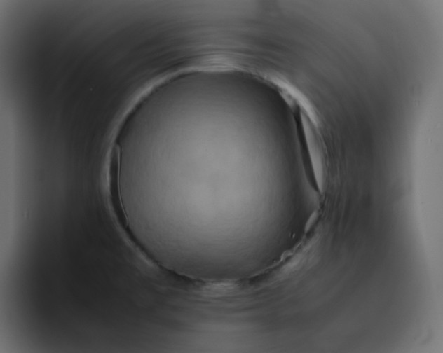 X0000092061477200710031051