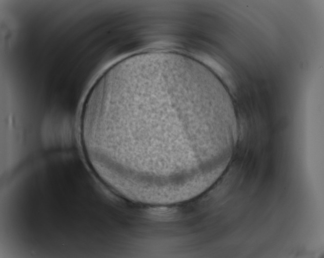 X0000092061478200710031051