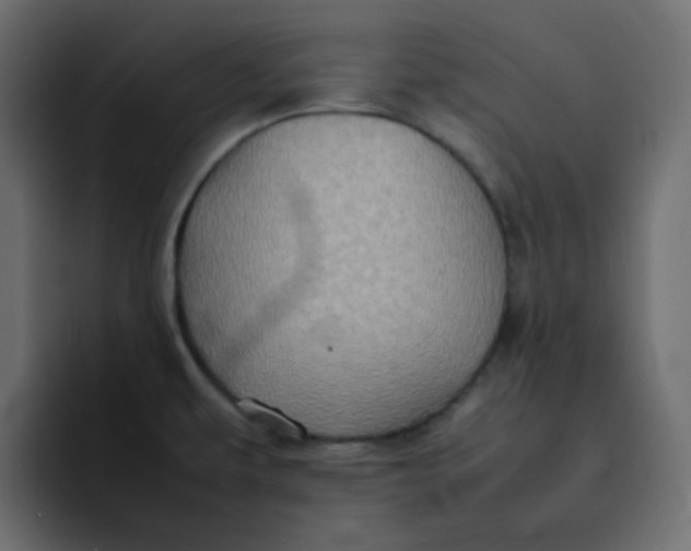 X0000092061479200710031051