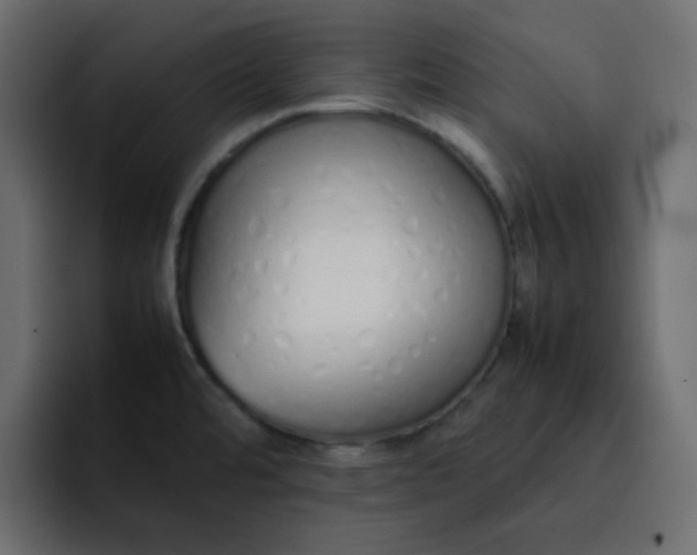 X0000092061480200710031051