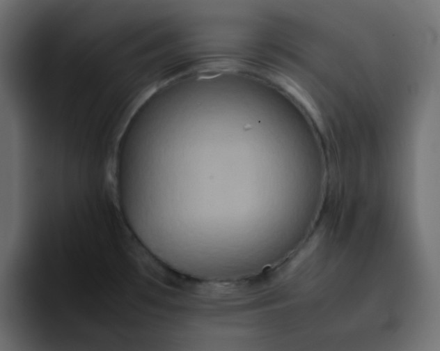 X0000092061481200710031051