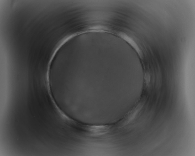 X0000092061482200710031051