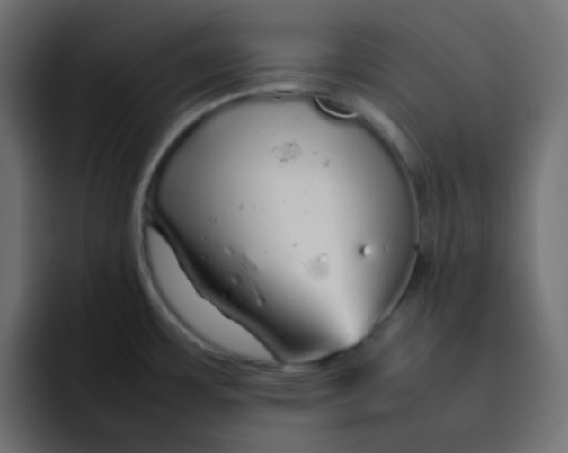 X0000092061483200710031051