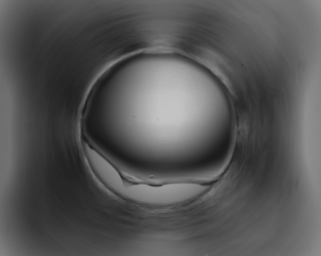 X0000092061484200710031051