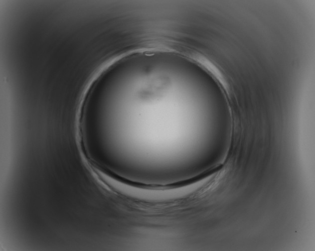 X0000092061485200710031051