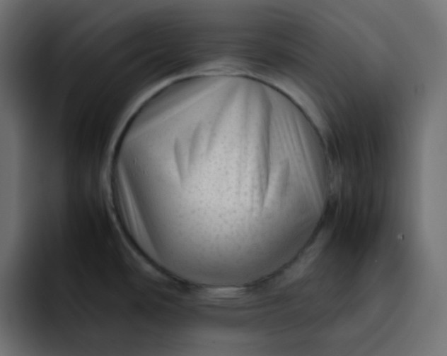 X0000092061486200710031051