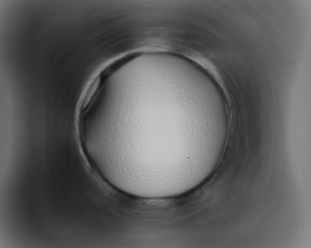 X0000092061488200710031051