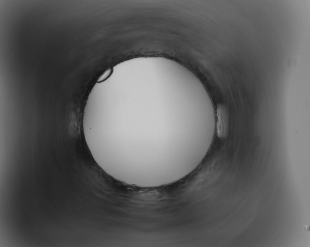 X0000092061491200710031051