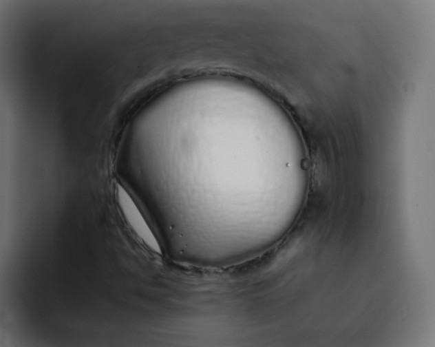 X0000092061494200710031051