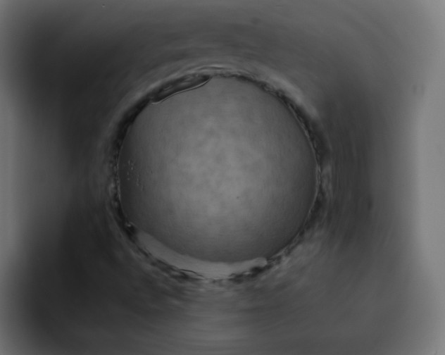 X0000092061496200710031051