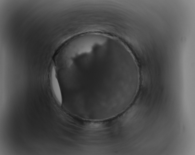 X0000092061497200710031051