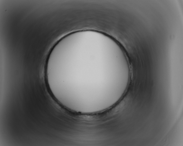 X0000092061500200710031051