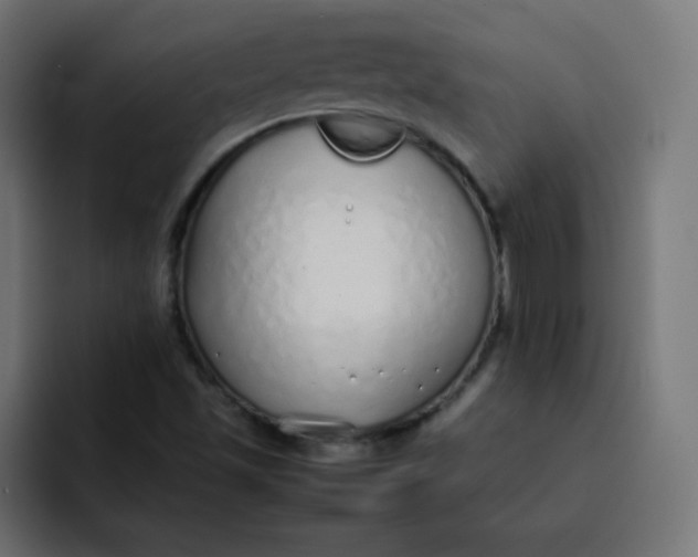 X0000092061501200710031051