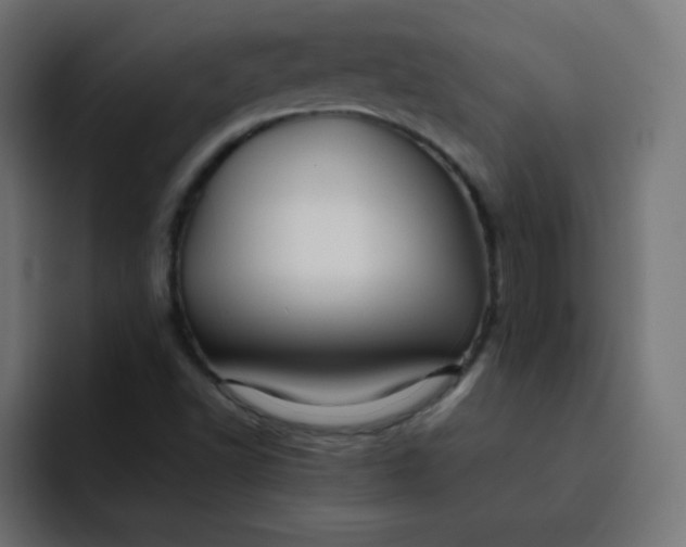 X0000092061502200710031051