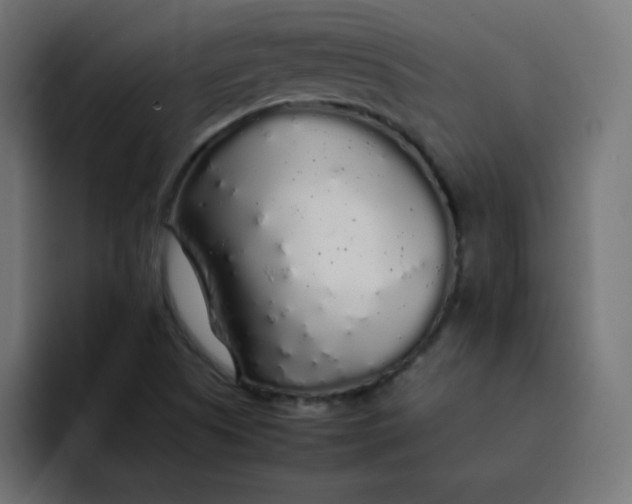 X0000092061505200710031051