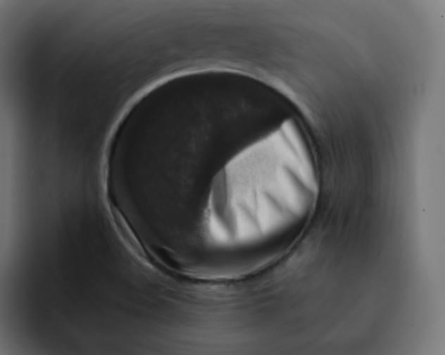 X0000092061508200710031051