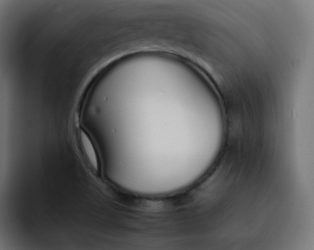 X0000092061509200710031051