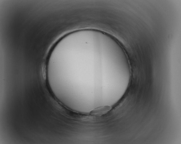 X0000092061510200710031051