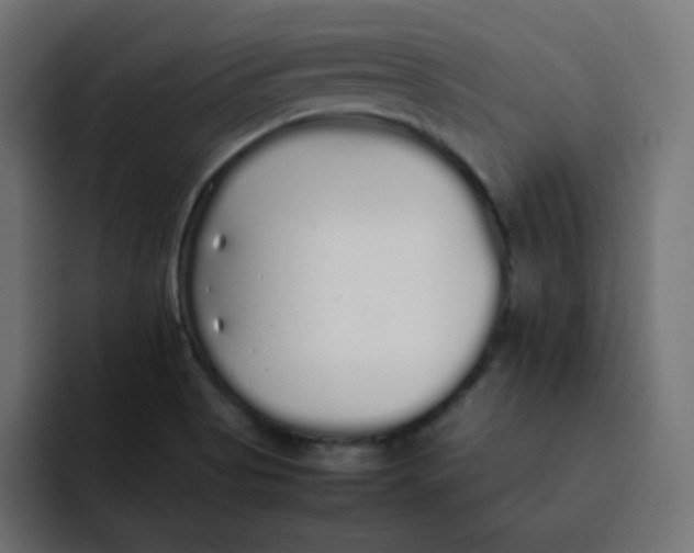 X0000092061513200710031051