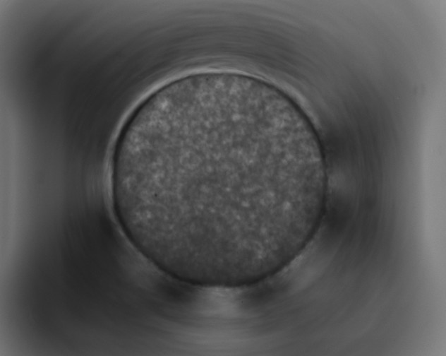 X0000092061514200710031051