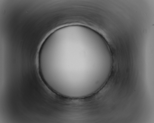 X0000092061516200710031051