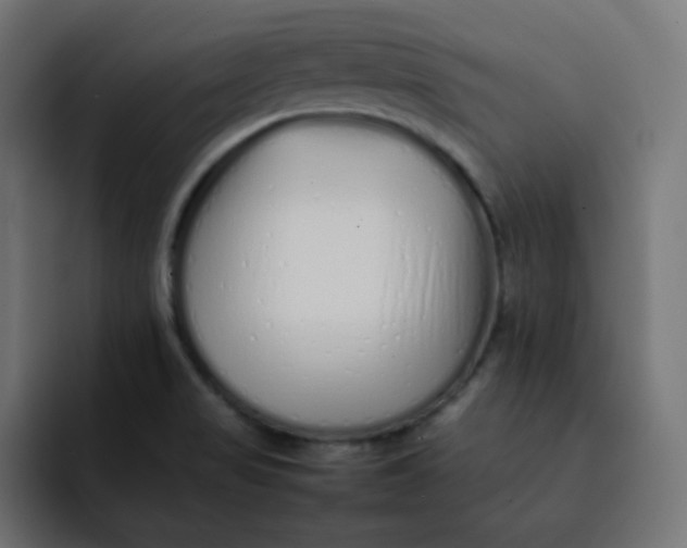 X0000092061517200710031051