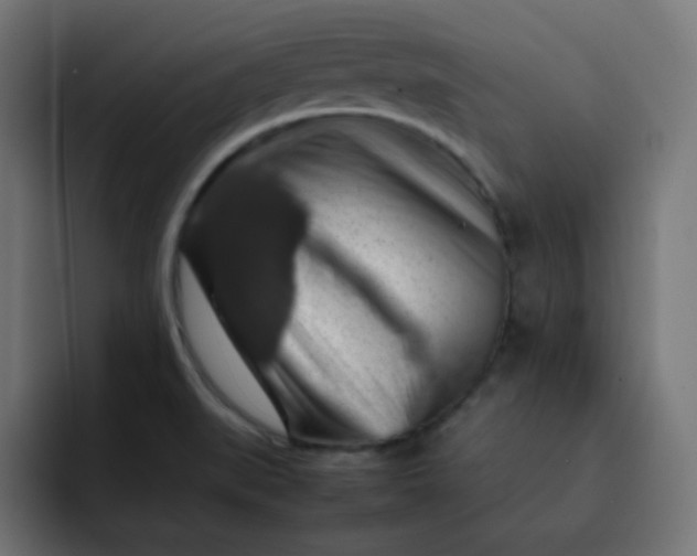 X0000092061519200710031051