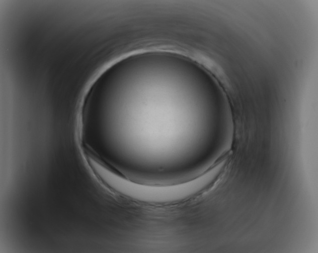 X0000092061520200710031051