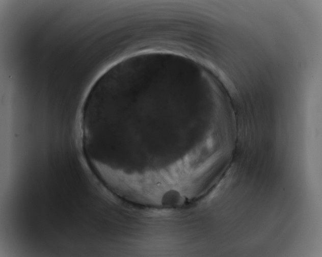 X0000092061522200710031051